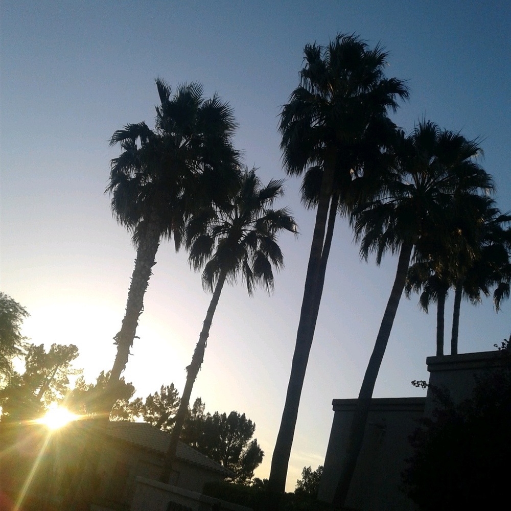 Meet your Posher, Evangeline